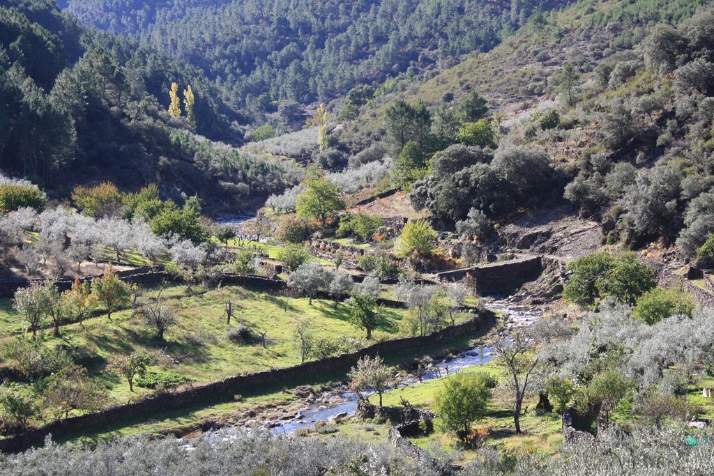 Penzion Casa Zambrana Pinofranqueado Exteriér fotografie